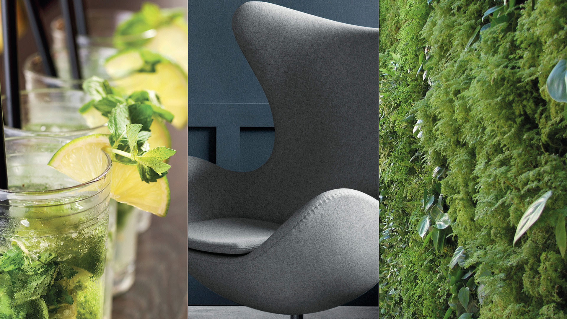 The Green House Restaurant in Utrecht