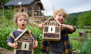 30 mei: Bijenhotel maken - The Green House